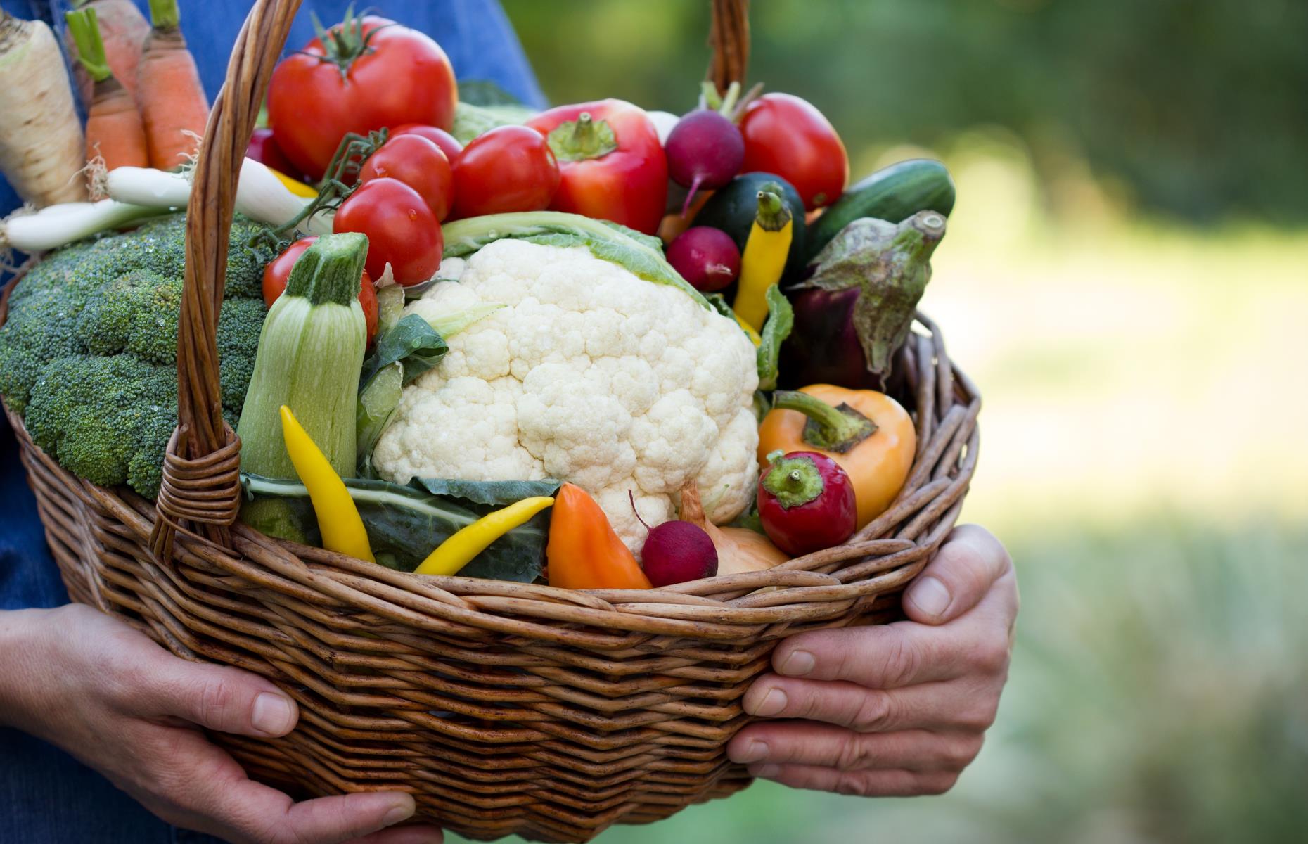 Organic food